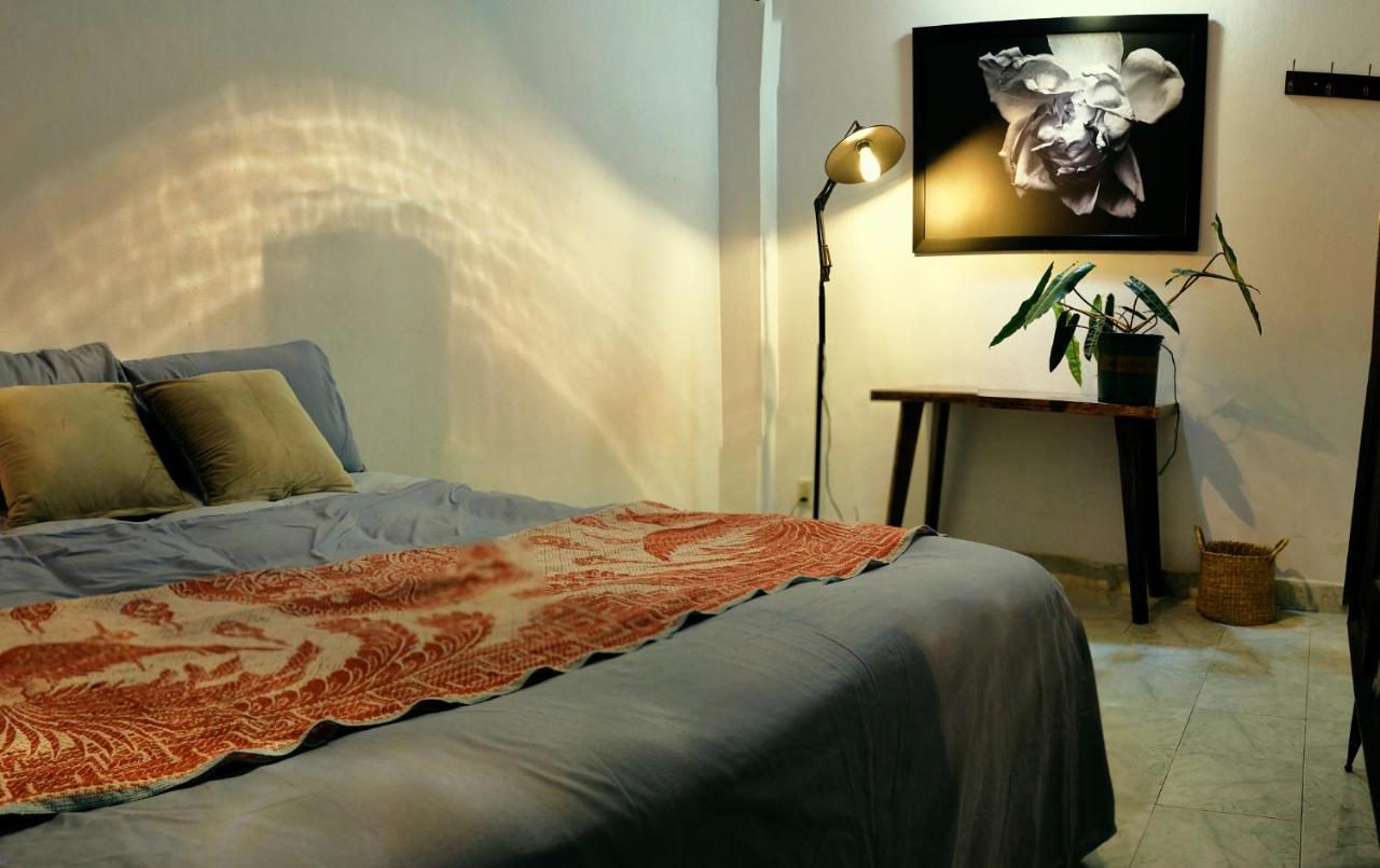 Căn hộ Peaceful Saigon - Entire House 1br In District 1 - Pet-friendly *