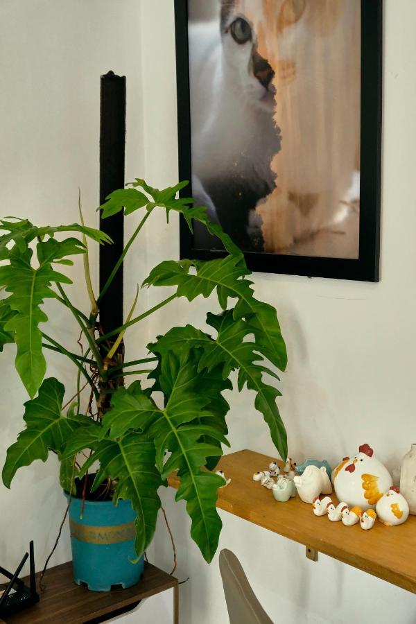 Peaceful Saigon - Entire House 1br In District 1 - Pet-friendly Căn hộ *